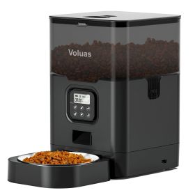 Household Pet Intelligent Automatic Double Meal Feeder (Option: 4L black transparent-USB)